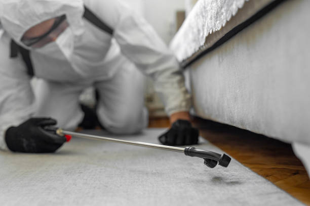 Professional Bed Bug Control technician working in Vadnais Heights, MN