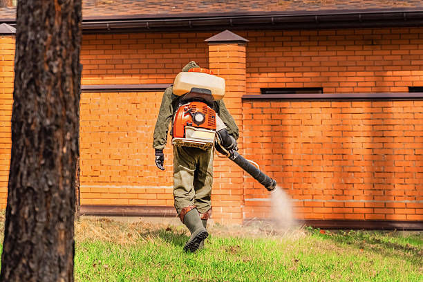 Trusted Emergency Pest Control service in Vadnais Heights, MN - Nex Pest Control